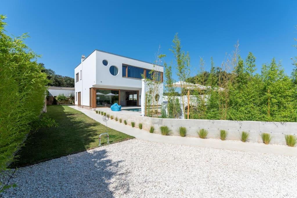 Villa Near Beach Wih 12 Meters Long Pool Pjescana Uvala Exterior photo